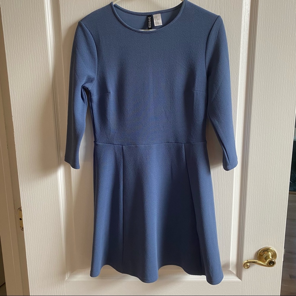 H&M Skater Dress